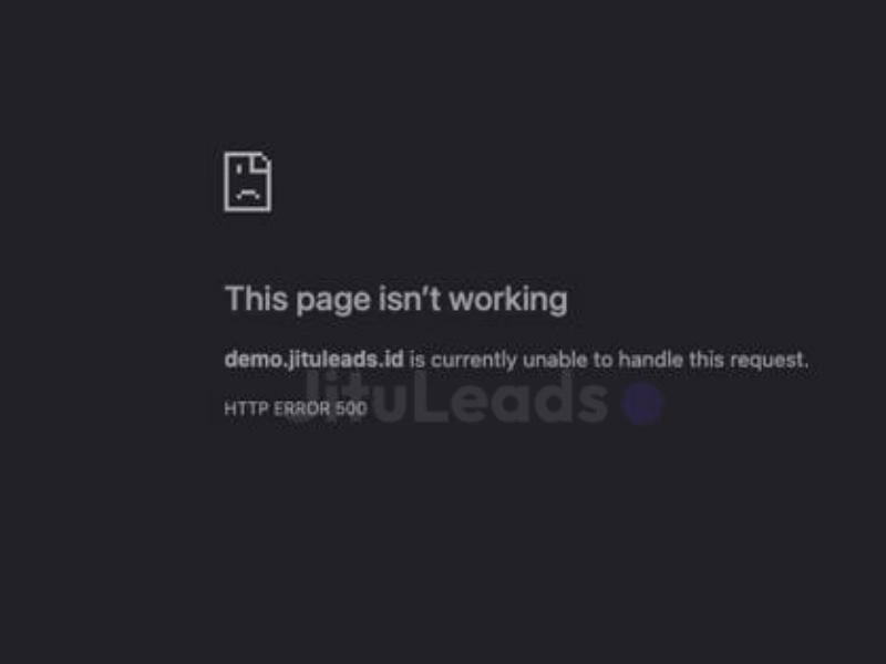WordPress Developer