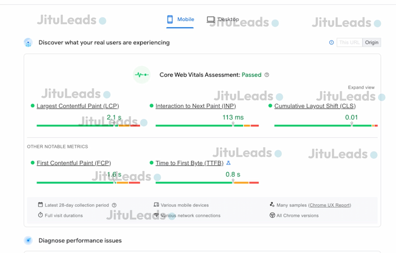 JITULEADS, JITU LEADS, GOOGLE PAGE SPEED, PASS GOOGLE WEB VITAL - JITULEADS